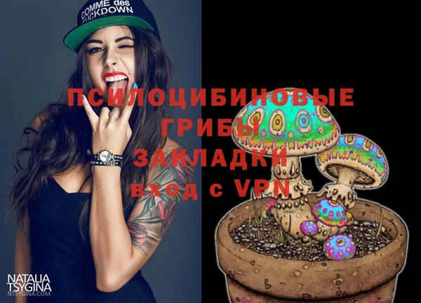 МДПВ Гусиноозёрск