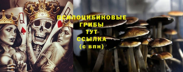 МДПВ Гусиноозёрск