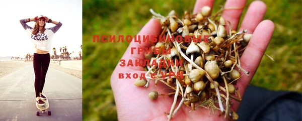 ешки Гусев