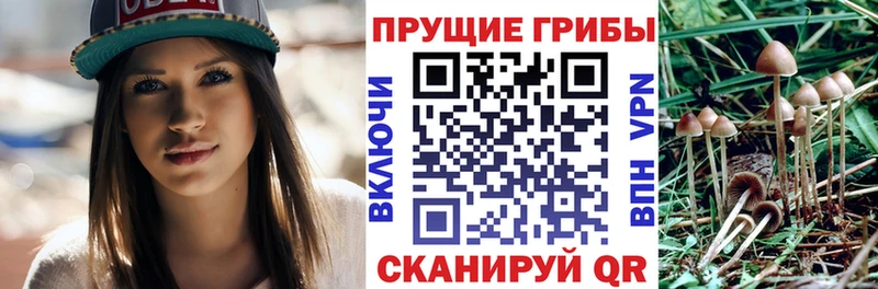 Купить  Калтан  Псилоцибиновые грибы GOLDEN TEACHER 